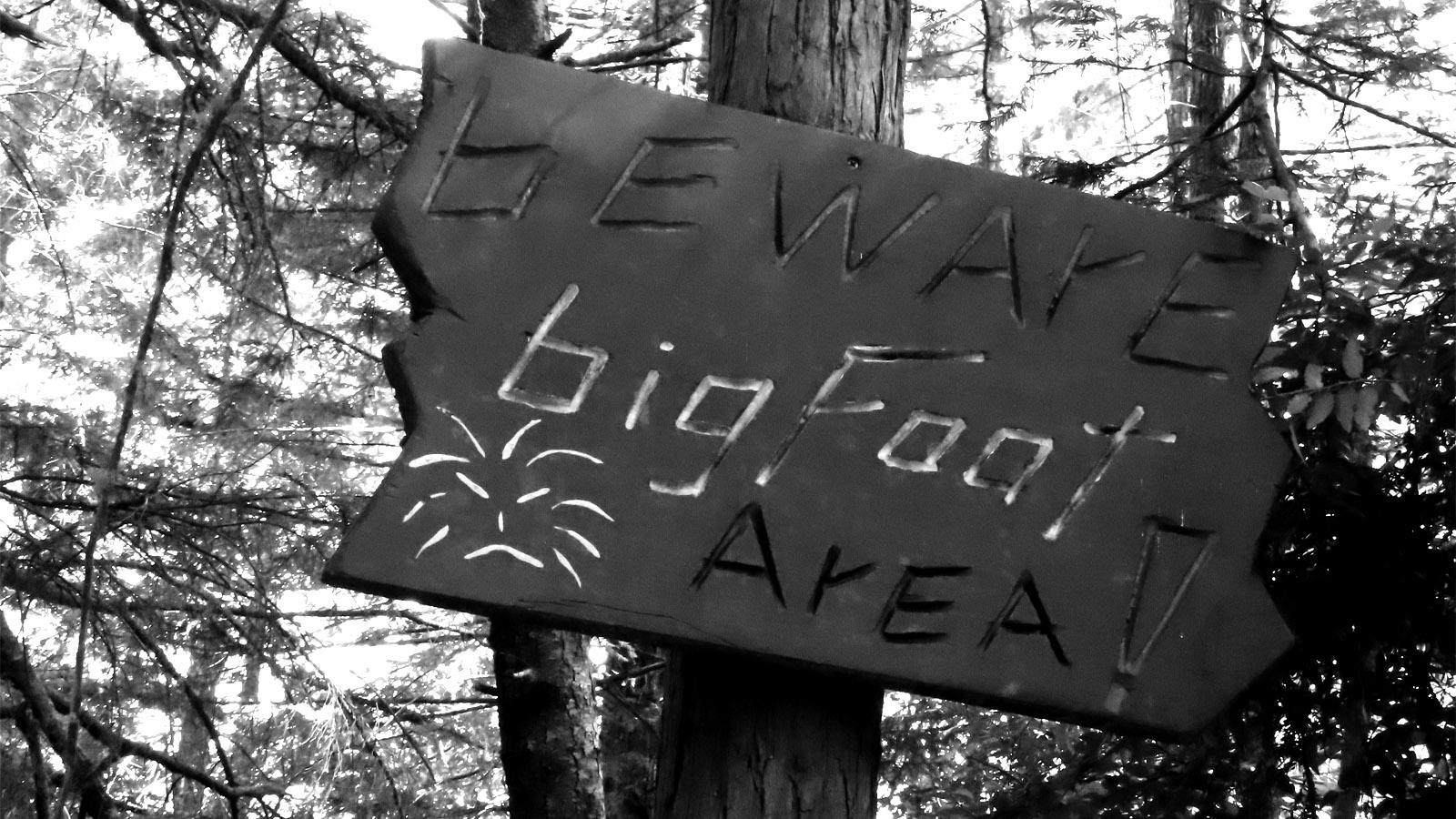 Ohio Residents On High Alert For Bigfoot After Howls, Footprints, And Multiple Sightings Are Recorded