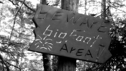 Ohio Residents On High Alert For Bigfoot After Howls, Footprints, And Multiple Sightings Are Recorded