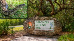 Florida Man Catches 18-Foot Burmese Python In The Everglades That Looks Big Enough To Swallow A Propane Tank