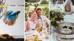 Wedding Guest Sits At Table, Is Horrified To Realize The Centerpieces Featured Live Betta Fish: ‘The Bride And Groom Planned To Flush Them Alive’