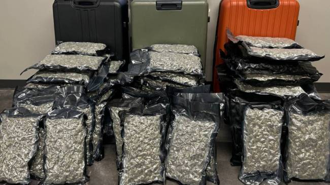 Marijuana found in suitcases at Dallas airport
