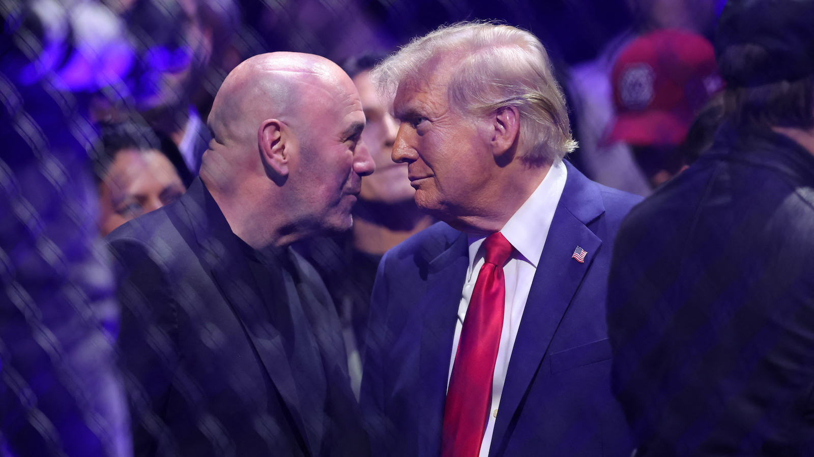 dana white donald trump