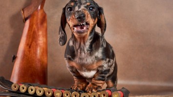 Dog Accidentally Fires Shotgun, Hitting Woman Outside Nebraska Gas Station
