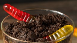 Students At Maine High School Accidentally Fed Dirt At Charity Event To Fighting Hunger