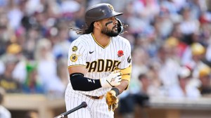 fernando-tatis