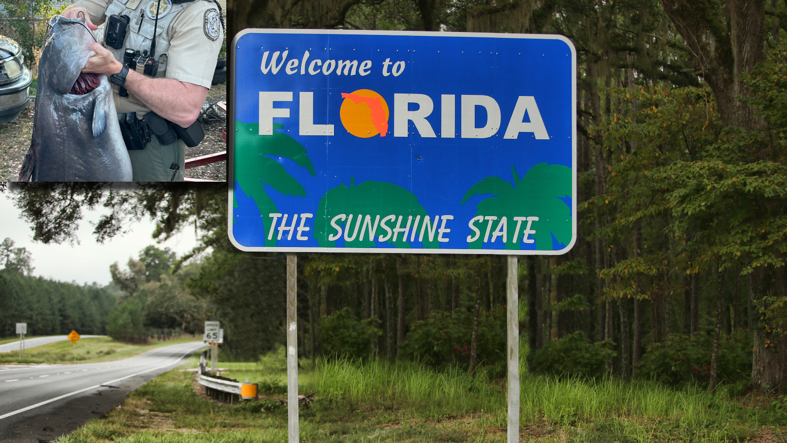 welcome to Florida sign and blue catfish state fishing record fish