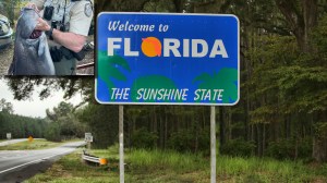 welcome to Florida sign and blue catfish state fishing record fish