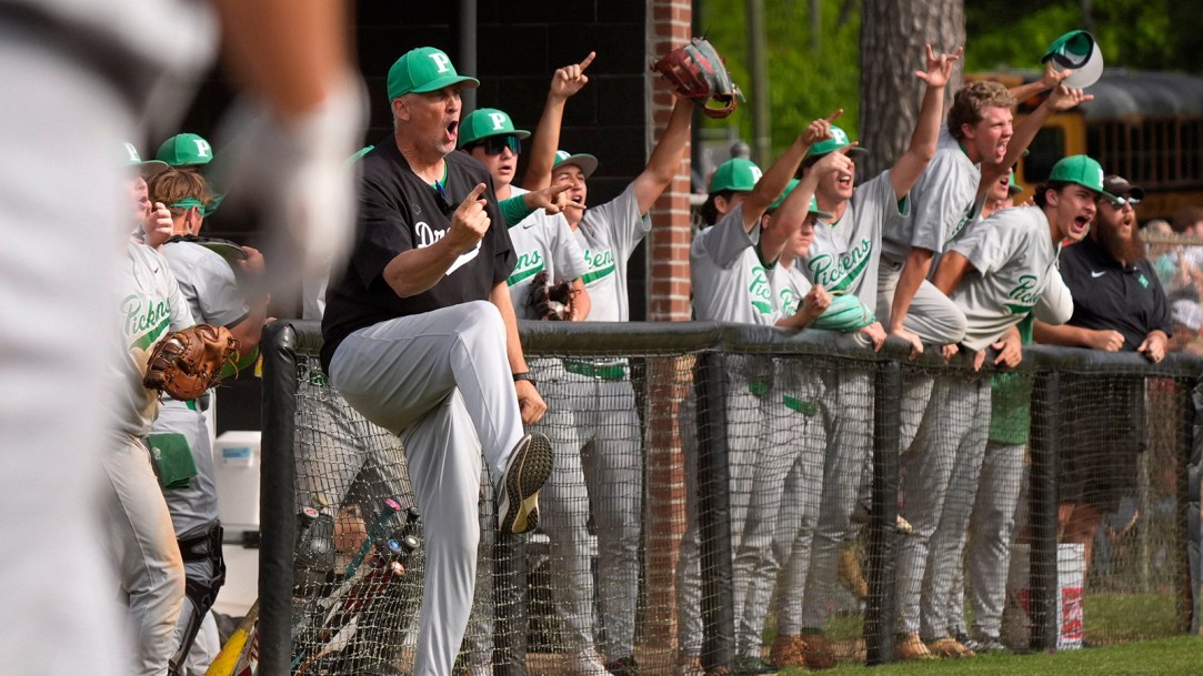 Georgia High School Baseball controversy out pickens troup county umpire state championship