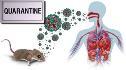 American Traveler Exposed To Hantavirus Gives Tour Of His National Quarantine Unit In Nebraska (Video)