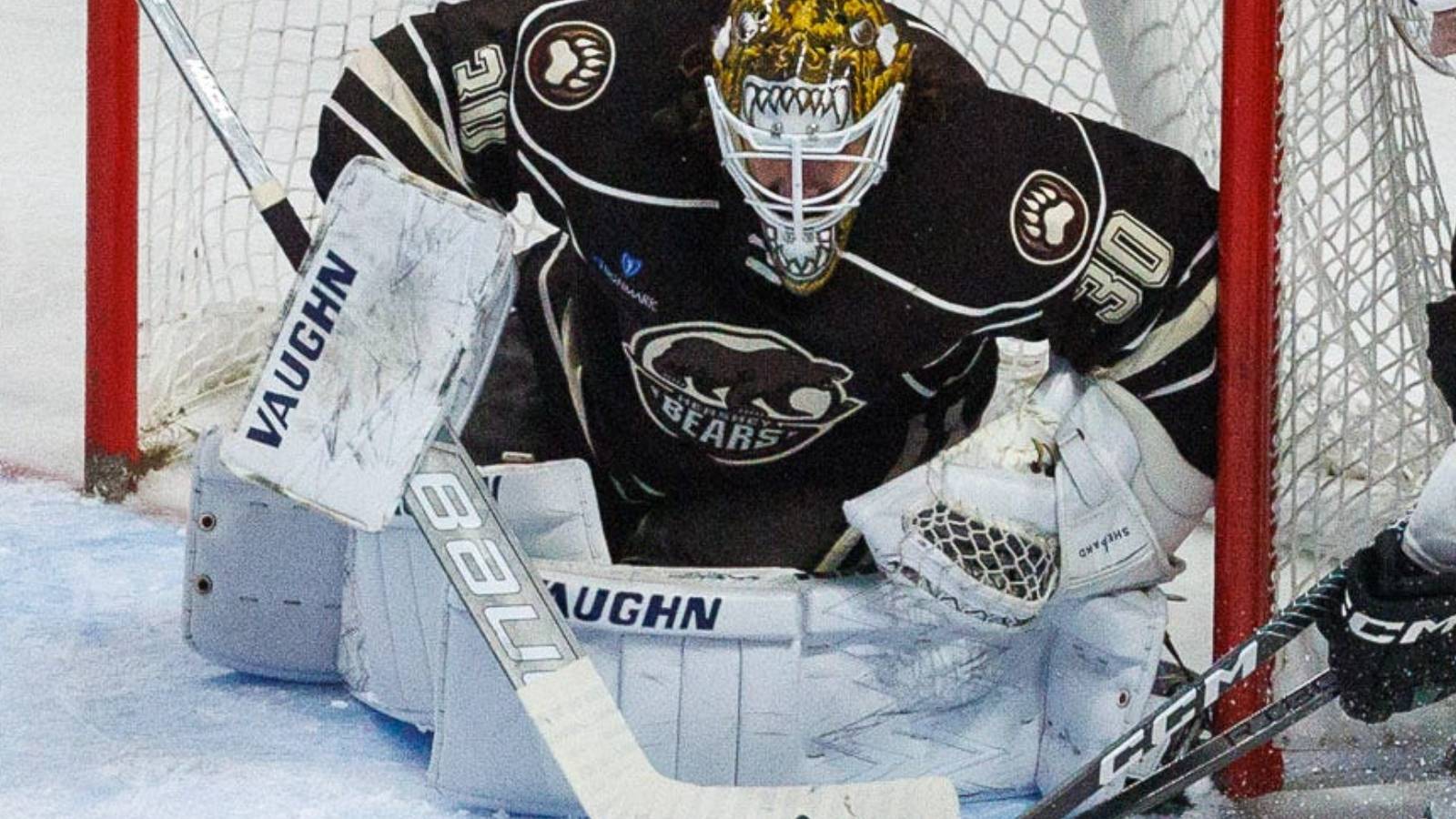 Hockey Fans Trash Ice At Playoff Game Over ‘Controversial’ Game-Winning Goal That Clearly Went In
