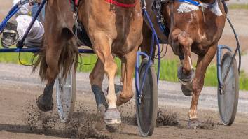 Sicilian Mafia Hit By Police Raid Sparked By Wild Video Of Illegal Horse Race Featuring Gun-Touting Spectators On Scooters