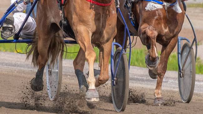 Horse cart race