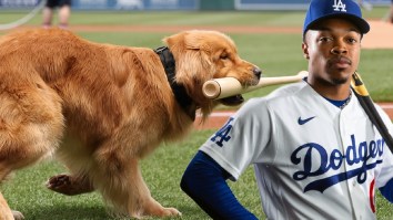 Top Dodgers Prospect Suffers Freak Injury In Near-Collision With Minor League Baseball Bat Dog