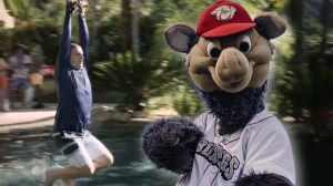 Lehigh Valley IronPigs zip line