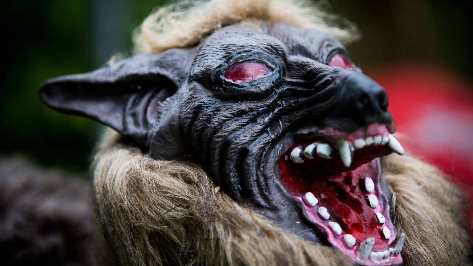 Japan Deploys 'Monster Wolf' Robots to Deter Bear Attacks