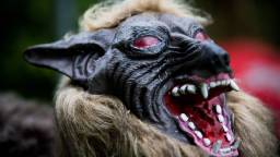 Japan Turns To Army Of ‘Monster Wolf’ Robots To Combat Spike In Bear Attacks