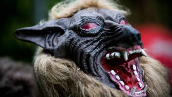 Japan Turns To Army Of ‘Monster Wolf’ Robots To Combat Spike In Bear Attacks