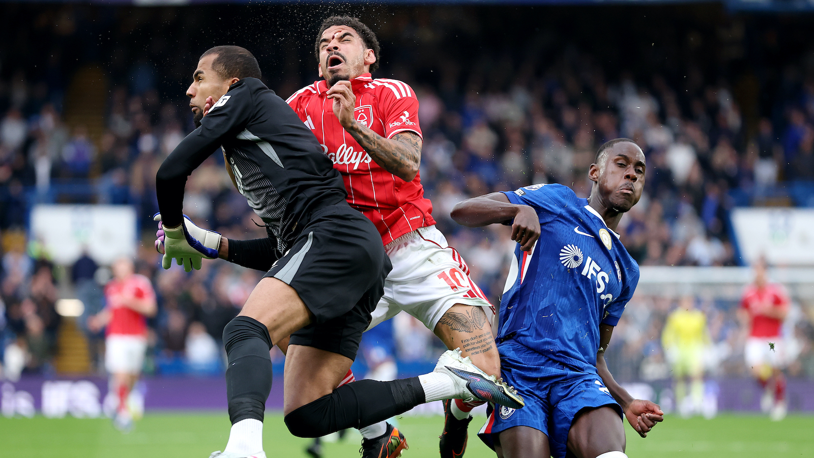morgan gibbs white injury
