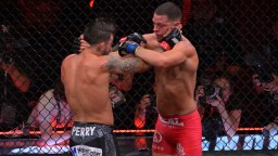 Massive Concern For The Health Of Nate Diaz’s Brain Brewing After He Got Demolished In Latest Fight