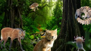 16 real animals that look totally fake
