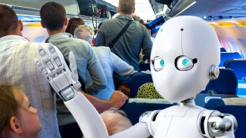 Southwest Flight In California Delayed For An Hour Because Of A Humanoid Robot Named ‘Bebop’