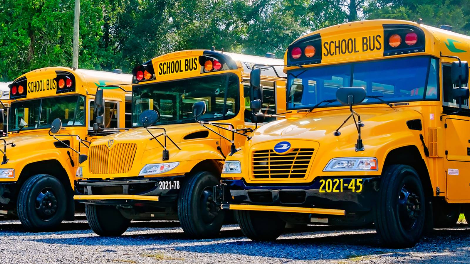 Scottish Soccer Fans Hire Massive Fleet Of School Buses To Avoid Getting Gouged During World Cup