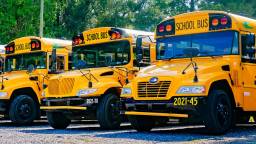 Scottish Soccer Fans Hire Massive Fleet Of School Buses To Avoid Getting Gouged During World Cup