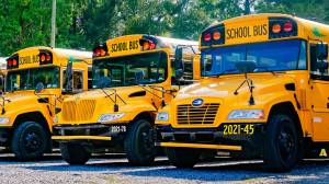 School buses