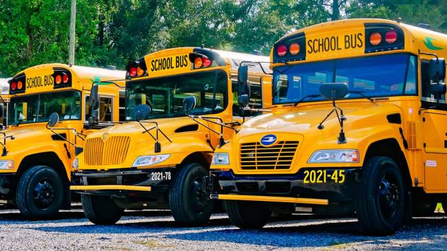 School buses