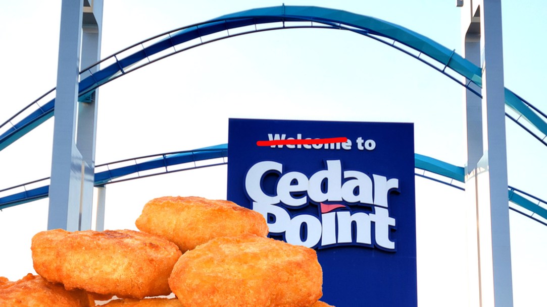 six-flags-cedar-point-chicken-nuggets