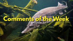 The Comments Section: The Best BroBible Comments Of The Week (Vol. 4)