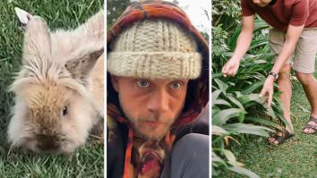 Man Says ‘Wild Bunny’ Has Been Living In His Yard For 8 Months. Then Commenters Realize What It Actually Is: ‘Please Please Rescue Him’
