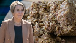 Massachusetts Governor Forced To Clarify She Didn’t Actually Legalize Haggis After World Cup ‘Joke’ That Clashed With Federal Law