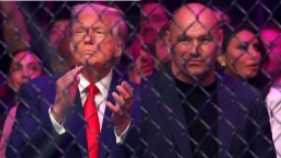 UFC Expects To Lose $30 Million On White House Event After Spending $60 Million