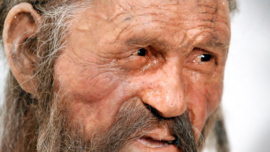 Otzi-the-iceman-reconstruction
