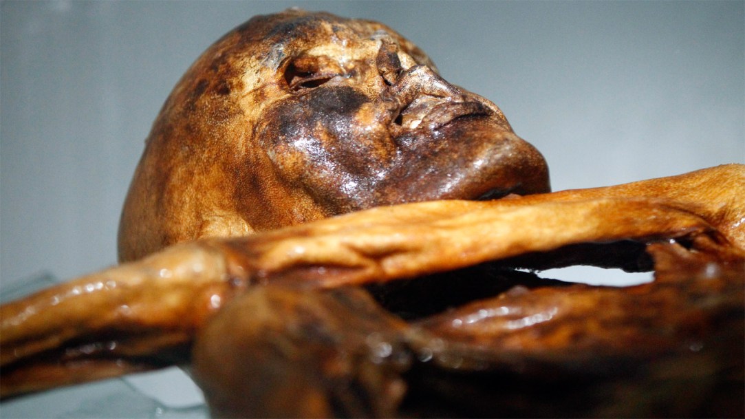 Otzi-the-iceman