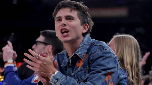 Timothée Chalamet at Knicks game