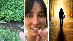 small creek (l) woman shares walk encounter (c) woman goes walking in the woods (r)