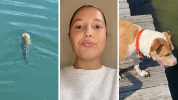 Woman Plays Catch With Her Dog. Then A Fish Gets In The Way To Catch The Ball—And She Catches It On Video
