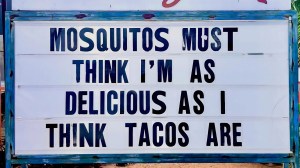 best memes about tacos and mosquitos