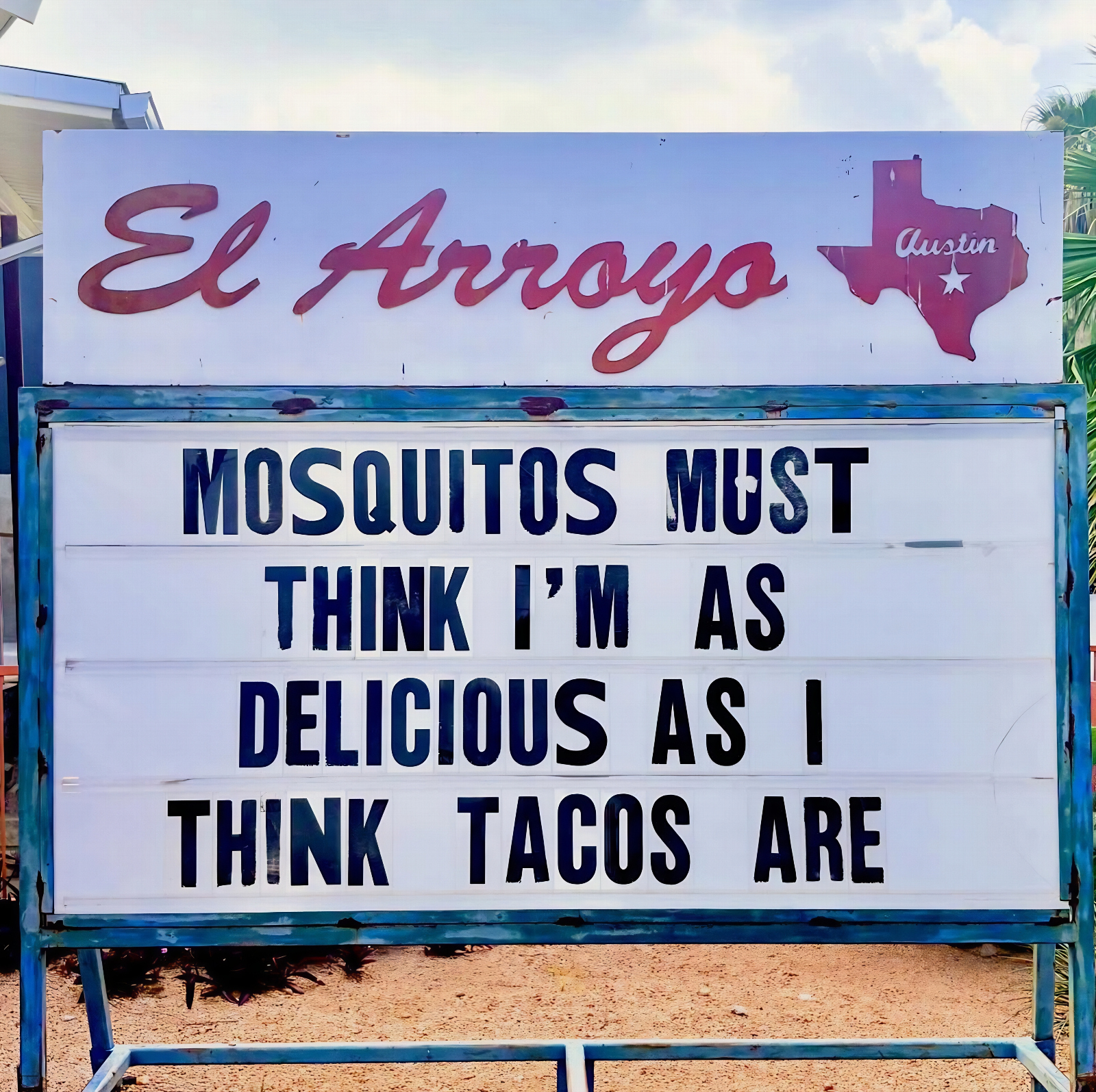 best memes about tacos and mosquitos