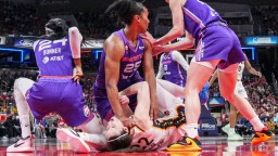 WNBA’s Union Refused To Give Official Statement On Whether Punching Opponent In The Throat Is Illegal