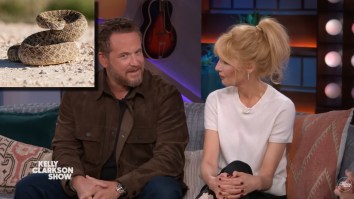 Cole Hauser Talks About The Endless Rattlesnakes That Had To Be Relocated While Filming ‘Dutton Ranch’ — ‘8 Months, 3,400 Rattlesnakes Caught’