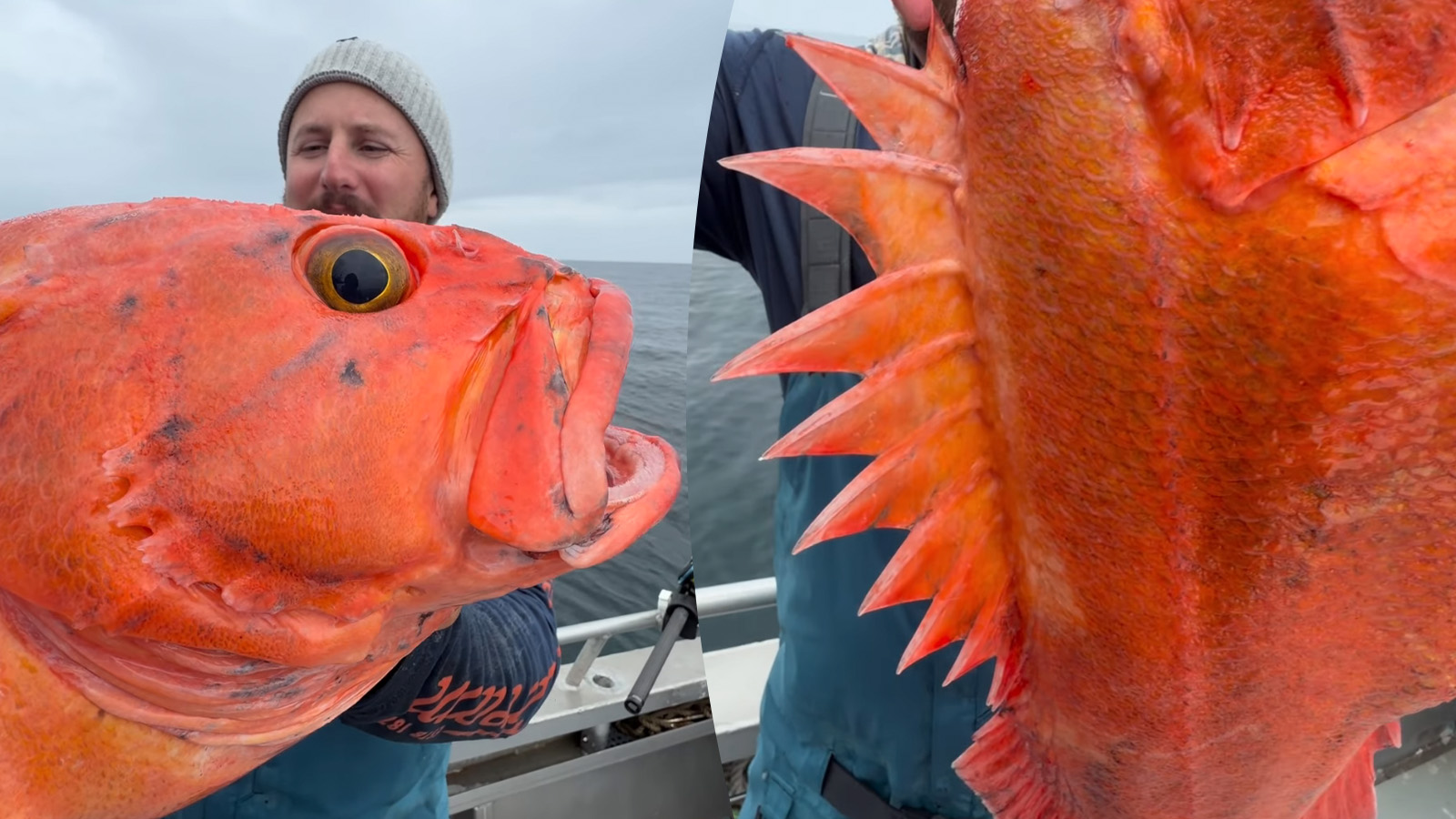 Florida Man Catches 90-Year-Old Yelloweye Rockfish in Alaska Florida Man Catches 90-Year-Old Yelloweye Rockfish in Alaska