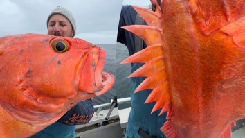 Gargantuan Rockfish Pulled From The Depths Of Alaska Ocean By Florida Man Is Older Than Your Grandmother
