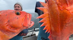Fishing Alaska yelloweye rockfish orange ryan izquerdo sitka