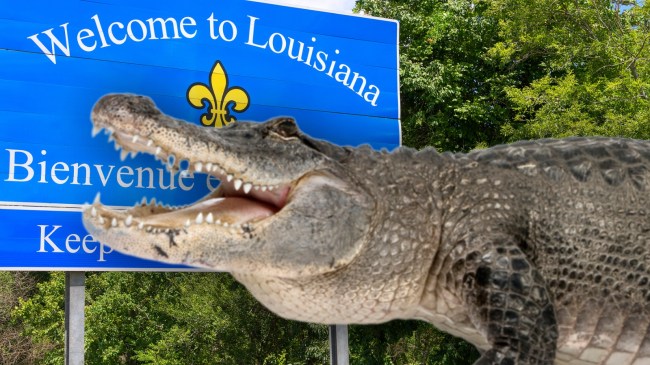 Alligator next to Welcome to Louisiana sign