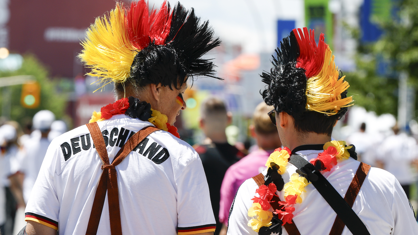 germany world cup fans