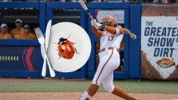 PETA Will Not Approve Of Texas Softball Player’s Psychotic Ladybug Superstition
