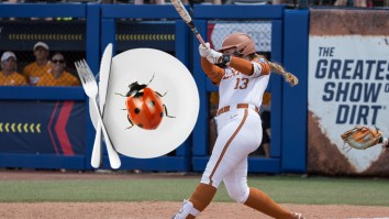 PETA Will Not Approve Of Texas Softball Player’s Psychotic Ladybug Superstition